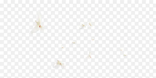 ��ɫ������ҵ��ԼͼƬ-������