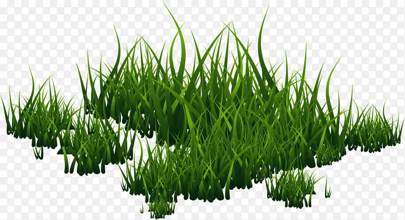 һƬС��-������