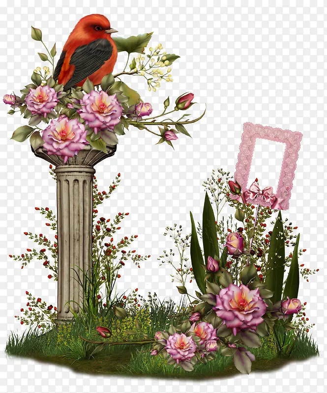 ��ɫ��ɫ��������-������