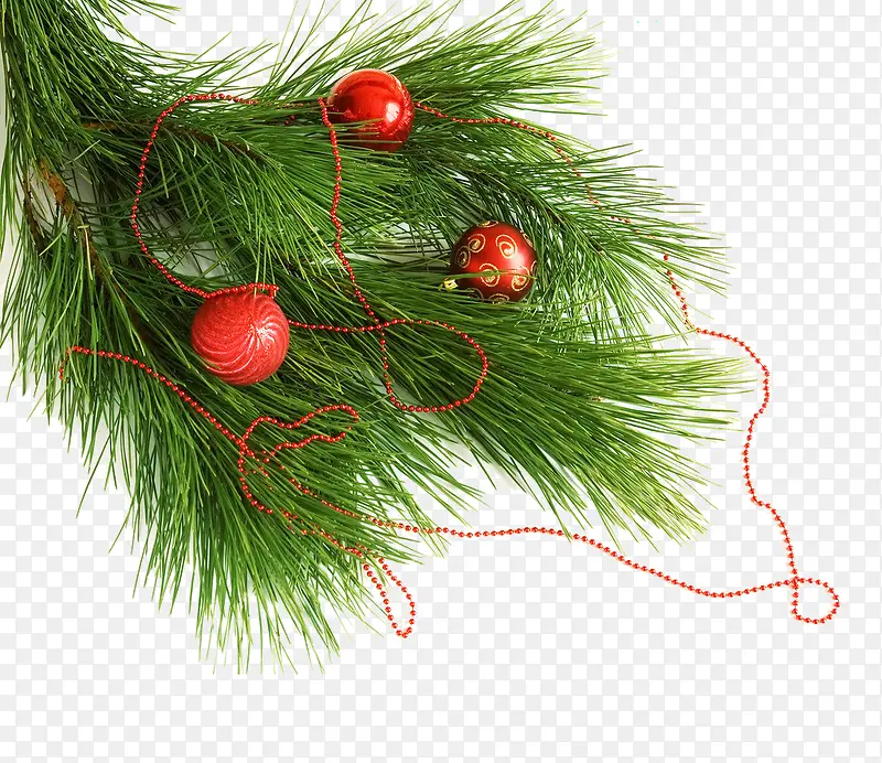 ʥ��������-������