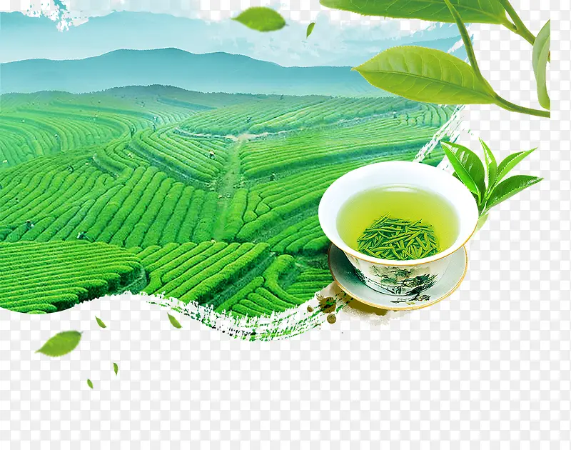 ��ٰ�ɫ������Ĵ���-������