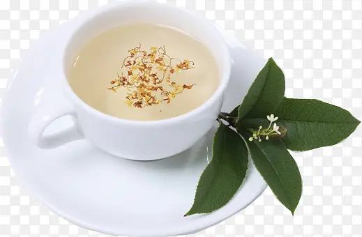 ����Ҷ��-������