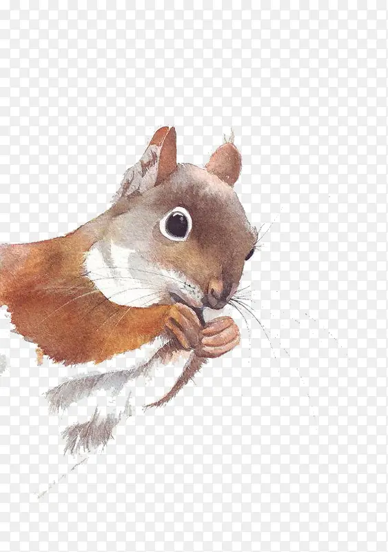 �ɰ�������-������