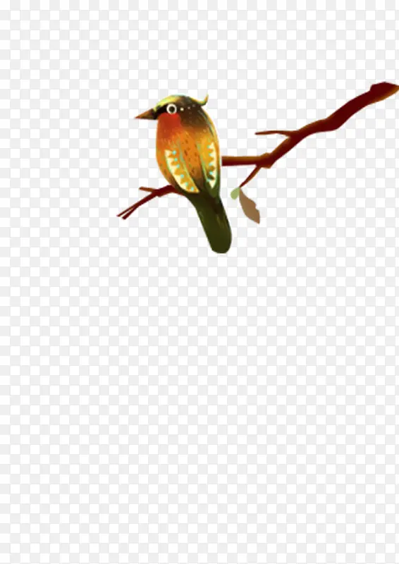 ��֦�ϵ�С��߽�װ��-������