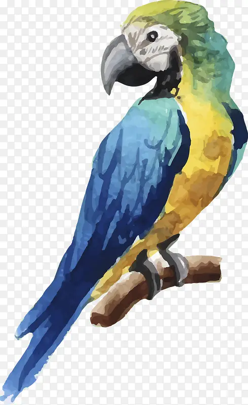 ��֦�ϵ�С��-������