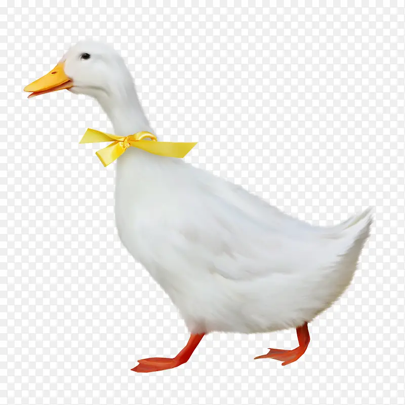 ��ɫ������ʴ�װ�ΰ�ɫ��-������