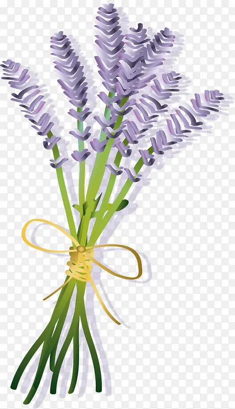 ��ɫ��ƽ�����Ӱ޹�²�-������