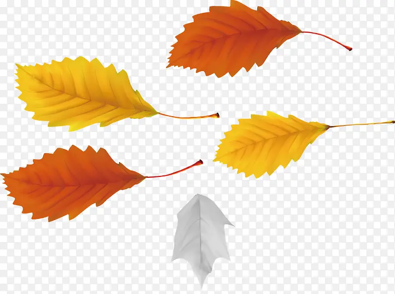 ��Ҷpngʸ���ز�-������