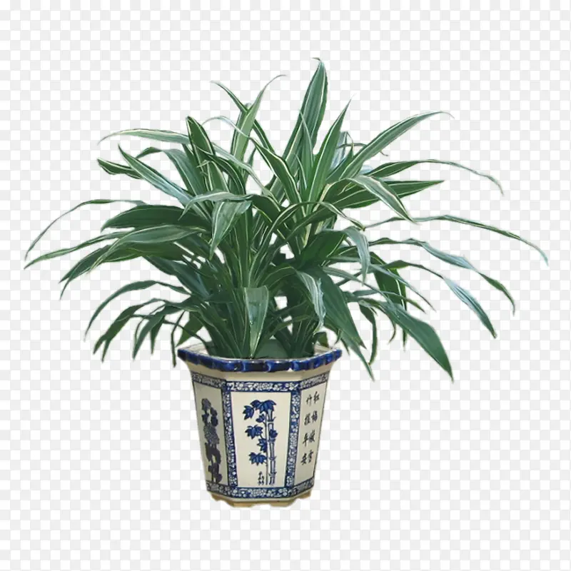 ������������-������