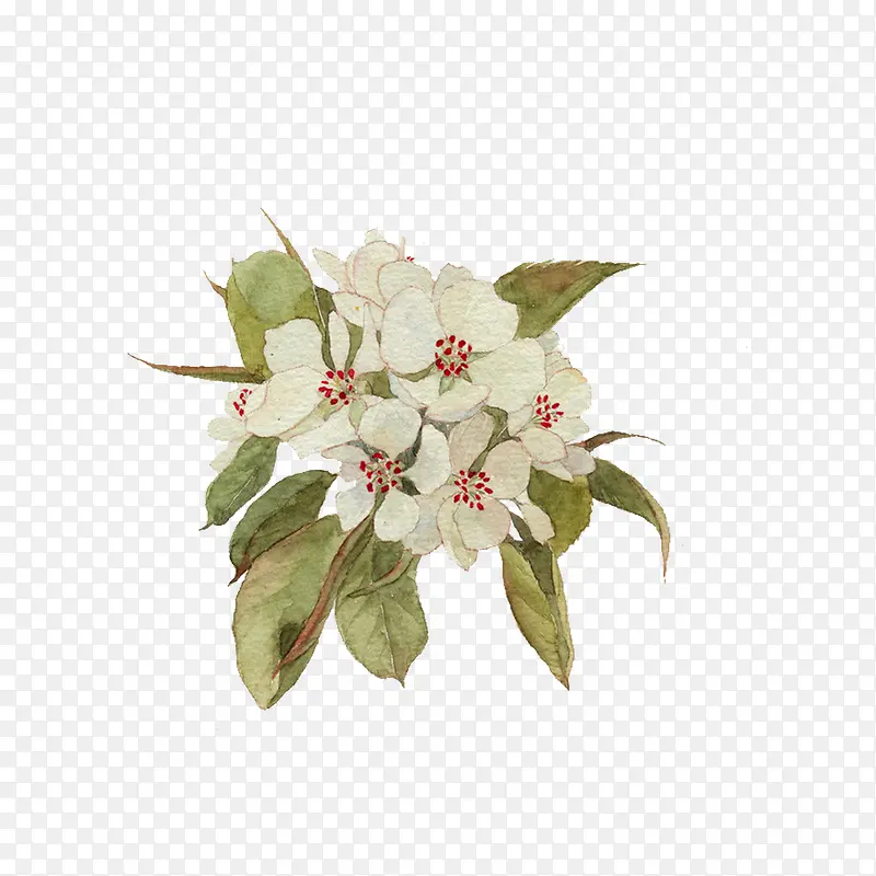 �����ֻ�-������