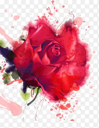 ˮ��õ��-������