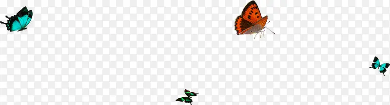 ��ɫ�׷ɺ����ֻ�-������