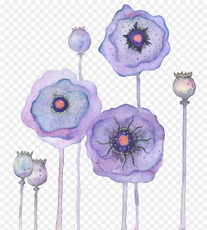 ˮ�ʻ���-������