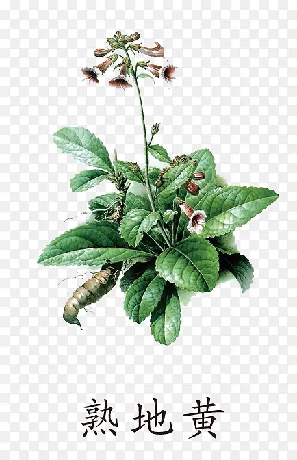 ��ػ�����ز��������-������