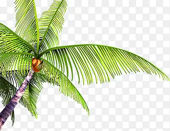 ������Ӱ���߶ȼ���Ҭ����-������