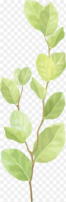 ��֦��ҶPNG����-������