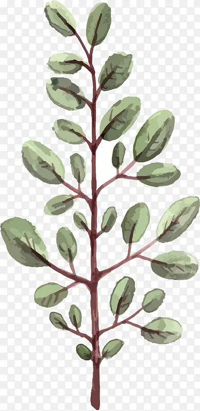 �ֻ���֦PNG����-������