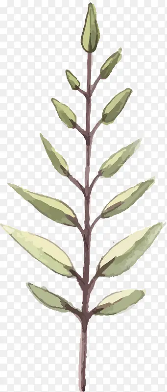 �ֻ���֦PNG����-������