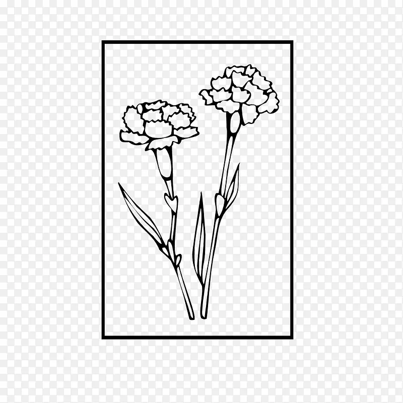 �����α߿�������仨-������