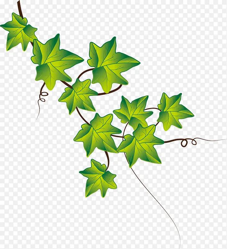 �ֻ���ɫ����ֲ��-������