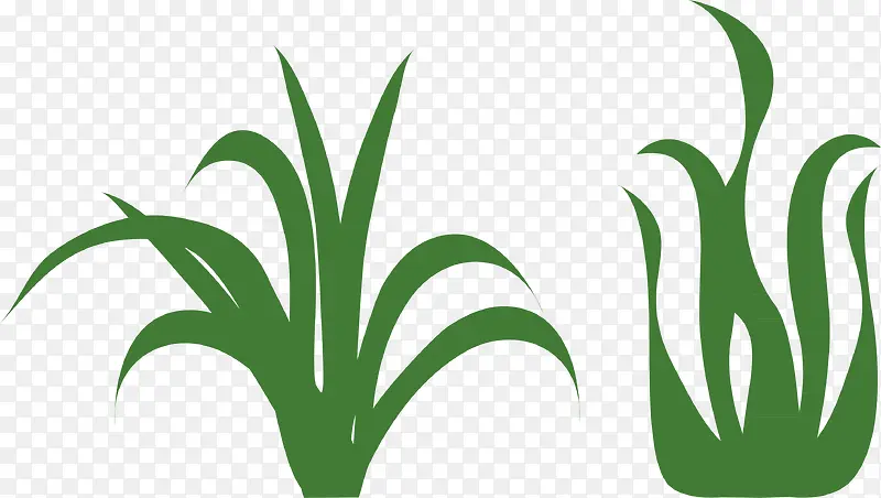 ˮ�ߵ�С�ݿ�ͨ�����С��-������