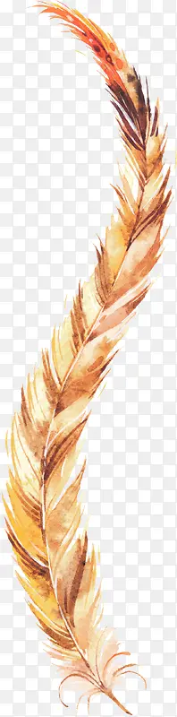 �ֻ���ë-������