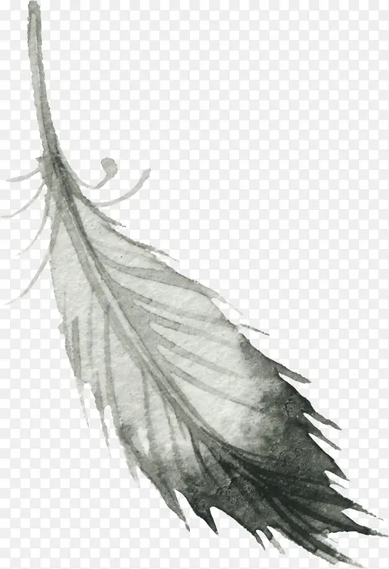 �ֻ���ë-������