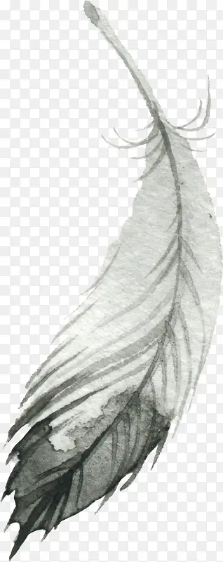 �ֻ���ë-������