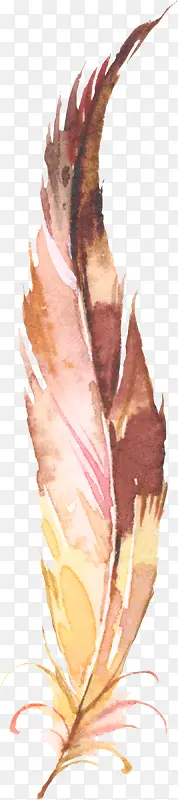 �ֻ���ë-������