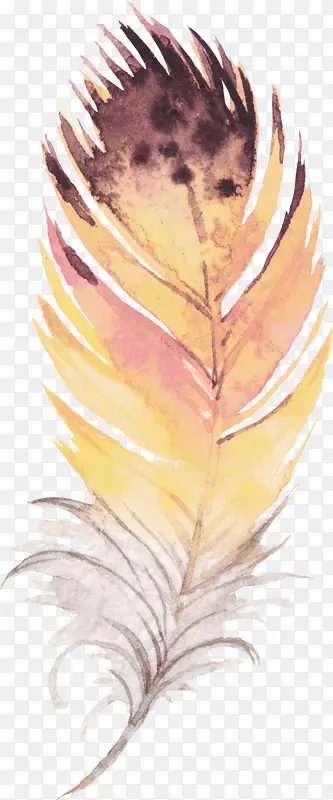 �ֻ���ë-������