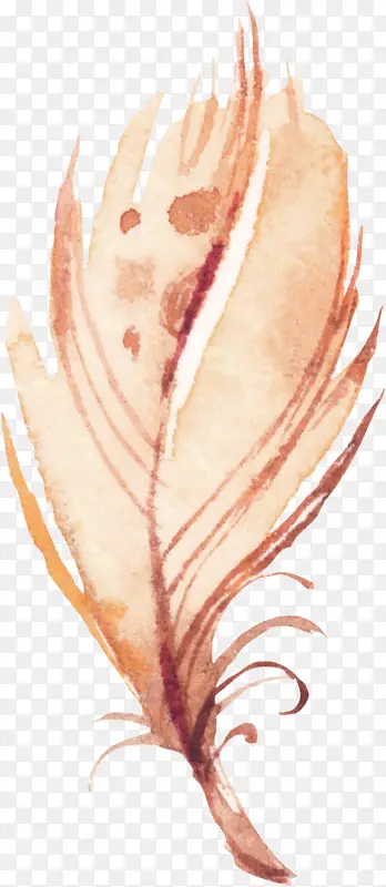 �ֻ���ë-������