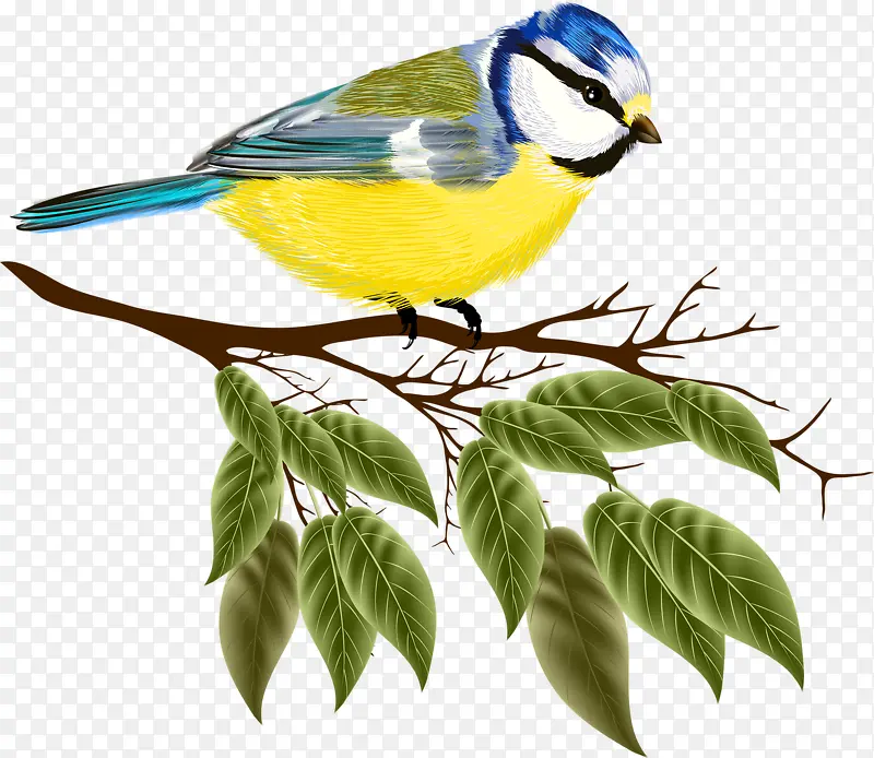 ֦ͷС��-������