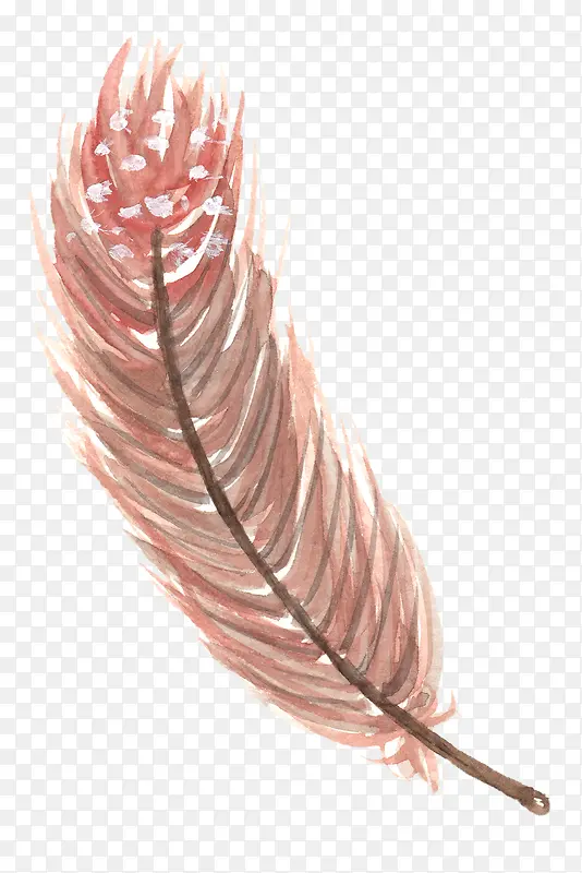 �ֻ���ë-������