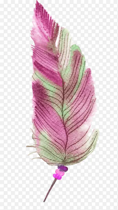 �ֻ���ë-������