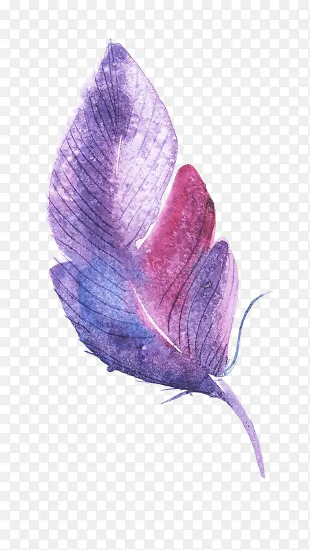 �ֻ���ë-������