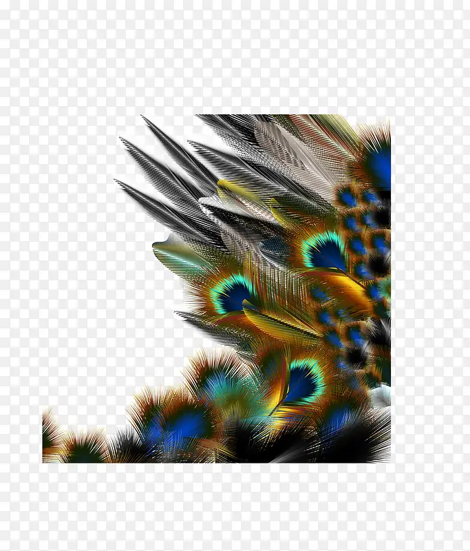 ��ʿ�ȸ��ë-������