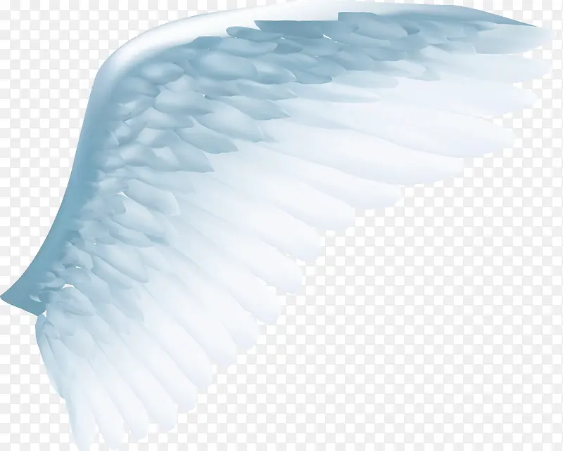 ����ɫ��ë���-������