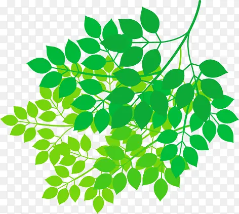 ��֦-������