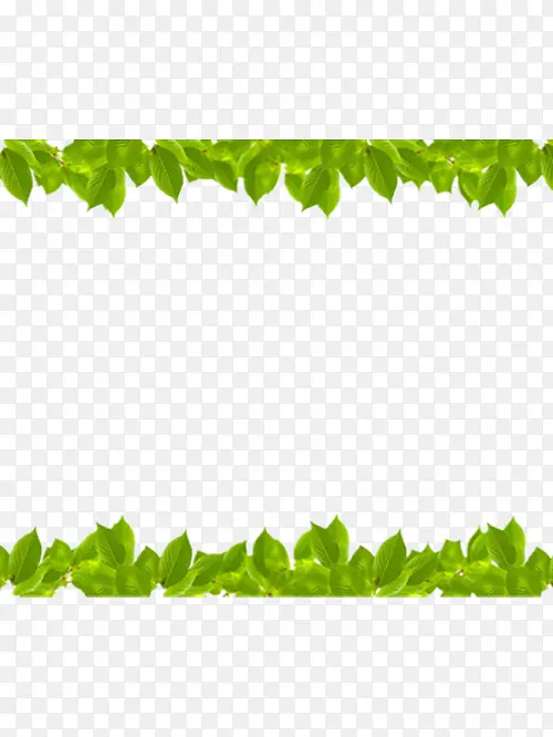 �ÿ�����ɫ��Ҷ�߿�-������