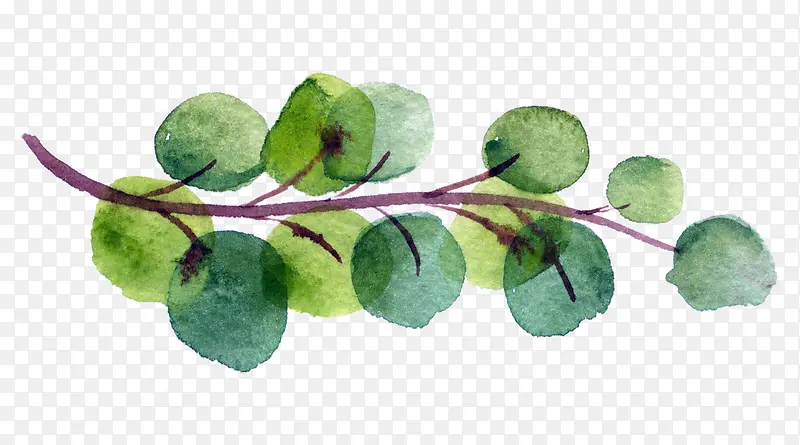 һ����֦ˮ�ʲ廭-������