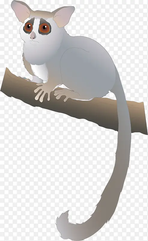 è��-������