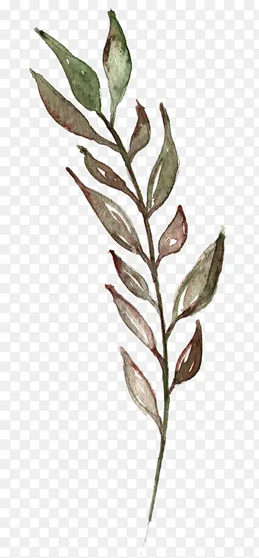 �ֻ�Ҷ��-������