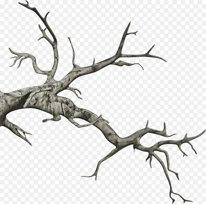 ��ή��֦-������