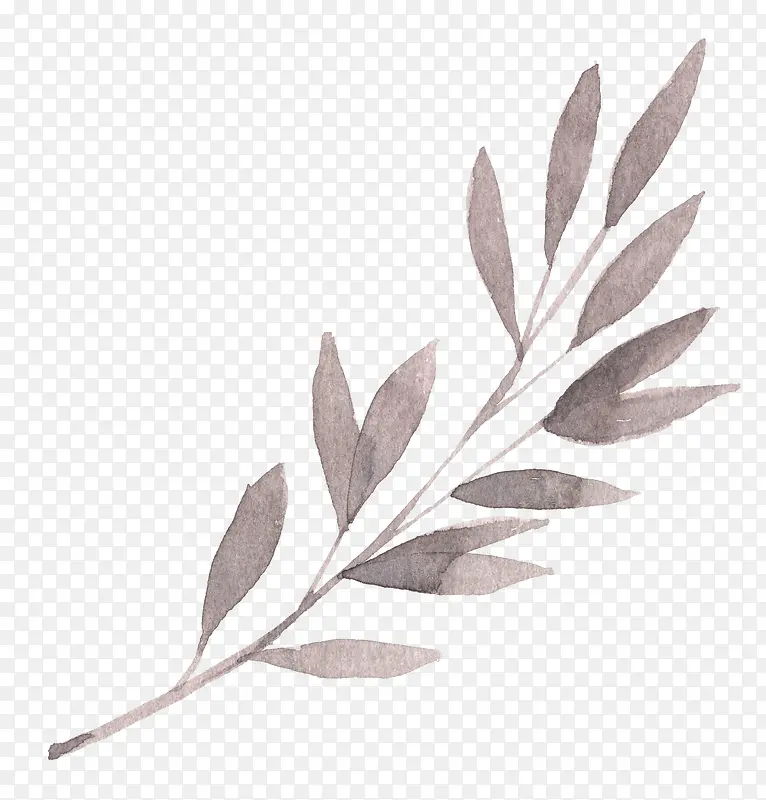 �ֻ���֦-������