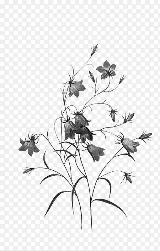 ��֦����-������