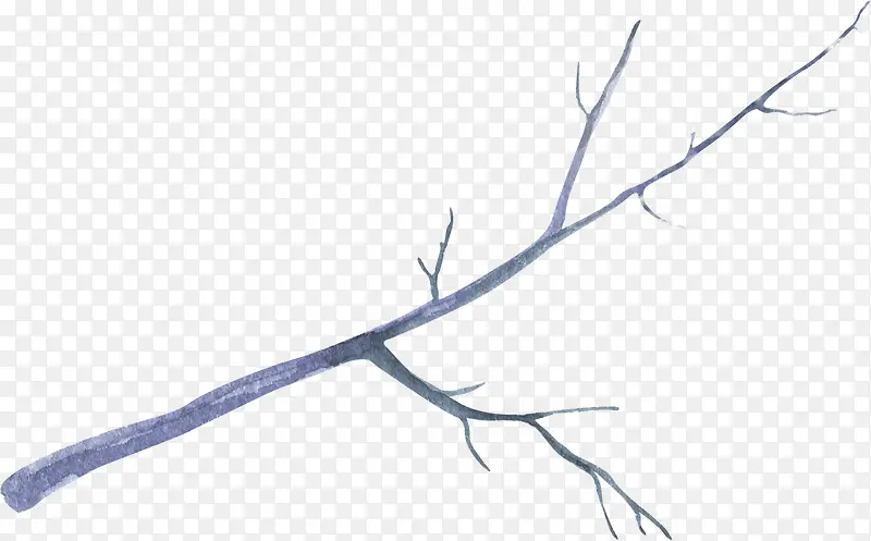 Ư����֦-������