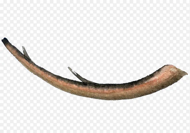 һ����֦��ͨ�廭-������