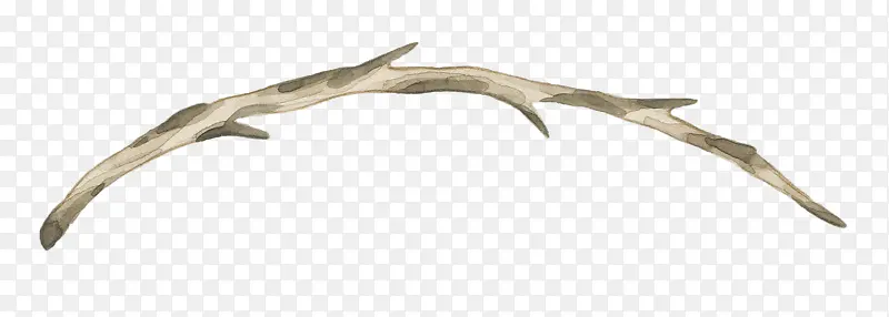 һ����֦-������