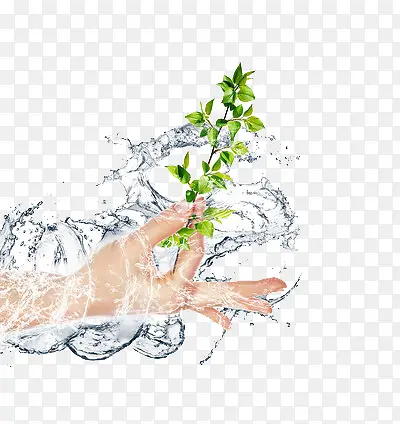 ��������һ����֦-������