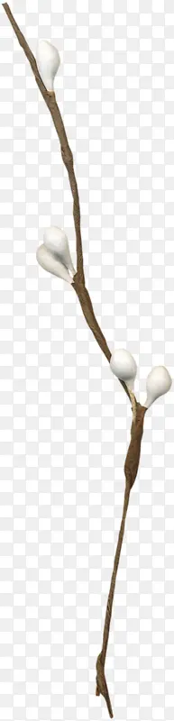 һ������֦-������